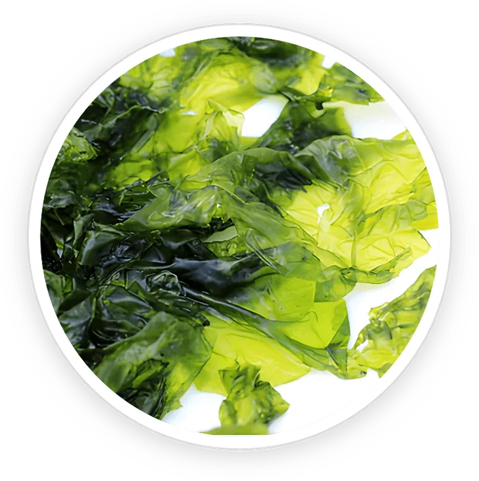 Yaki Nori